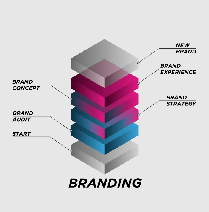 branding-infographic-vece-V1